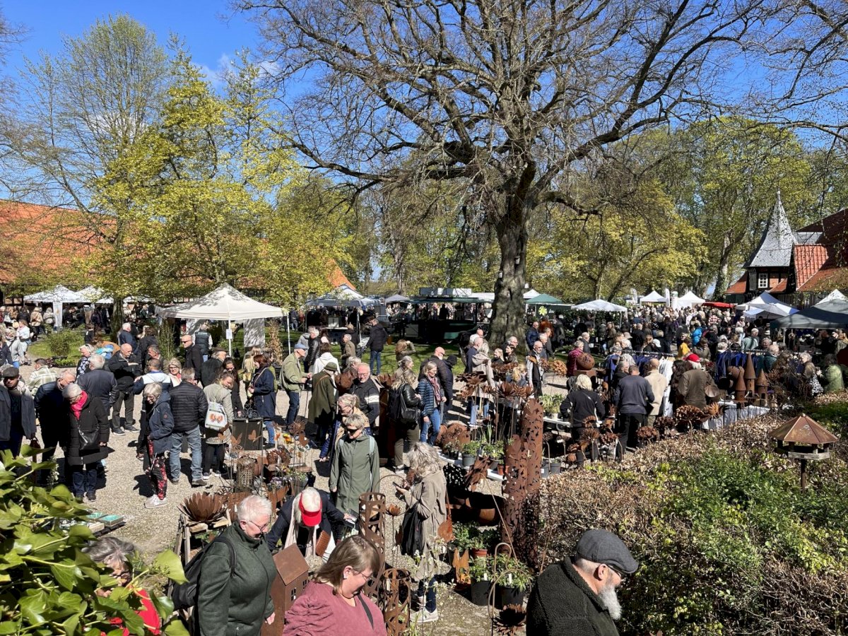 Spring market