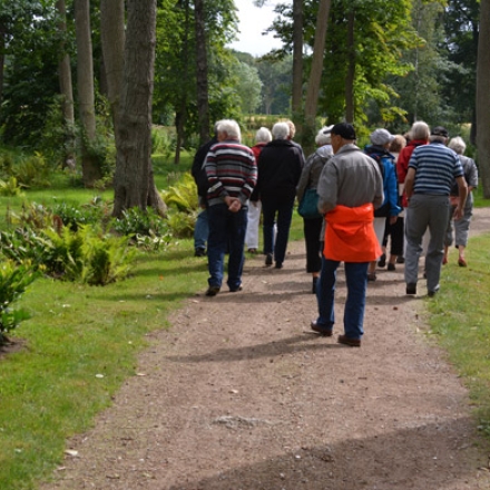 Guided tours