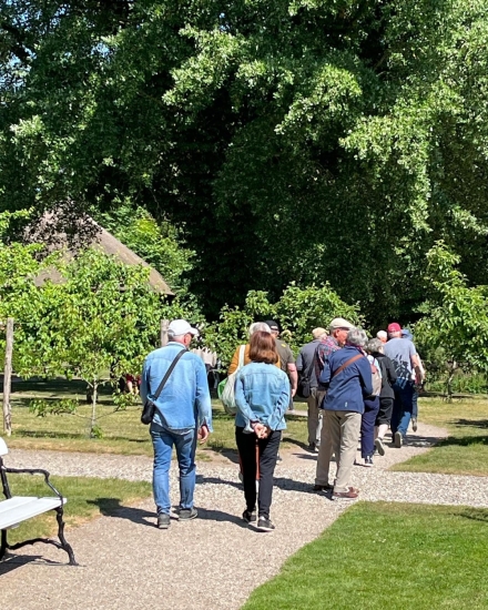 Guided tours